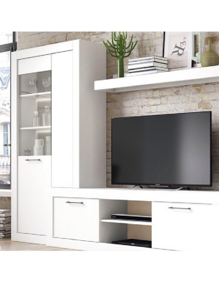 Modulo con vitrina y puerta de cristal MILANO