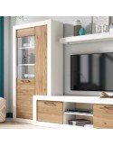 Modulo con vitrina y puerta de cristal MILANO