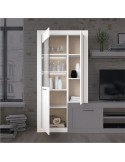 Modulo con vitrina y puerta de cristal MILANO