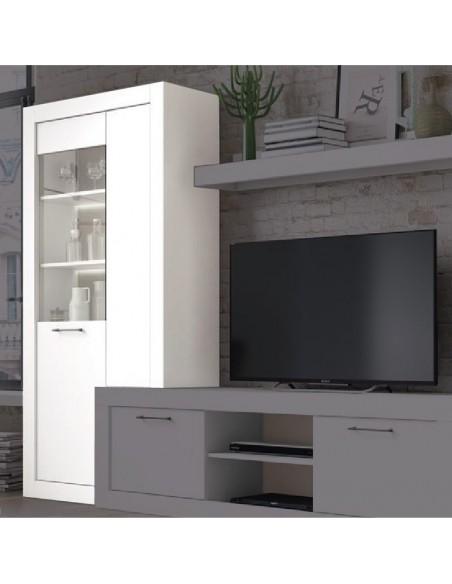Modulo con vitrina y puerta de cristal MILANO