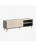 Mueble de televisión con puerta CAREN