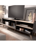 Mueble de televisión con puerta CAREN