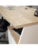 Mesa de escritorio BUC