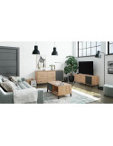 Mueble de televisión dos cajones y dos puertas NIELS