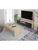 Mueble de televisión MORGAN I