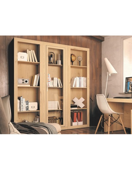 Estantería con puerta y trasera ROMA