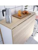 Mesa de cocina alas abatibles ALE