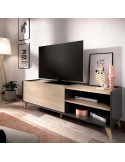 Mueble de televisión con puerta CAREN