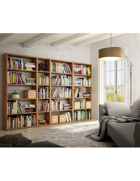 Biblioteca completa ROMA