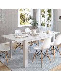 Mesa comedor rectangular extensible DANIELA