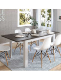 Mesa comedor rectangular extensible DANIELA