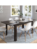 Mesa comedor rectangular extensible DANIELA