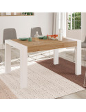 Mesa rectangular extensible portería MARCO