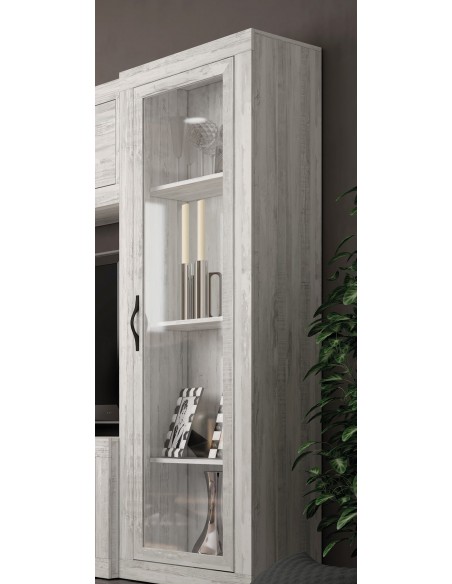 Estantería con puerta y trasera ROMA