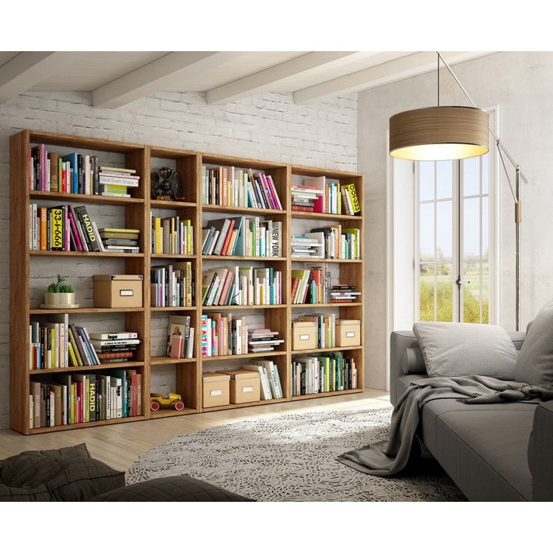 Biblioteca completa ROMA