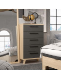 Sinfonier cinco cajones NILO