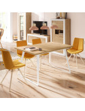 Mesa rectangular extensible DALIA III