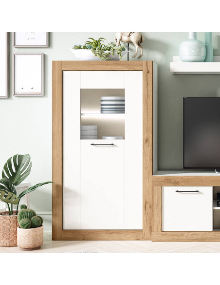 Vitrina una puerta DALIA II