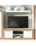 Mueble TV dos puertas y un estante 154 cm DALIA