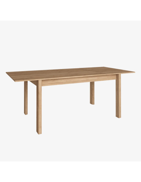 Mesa rectangular extensible DALIA I