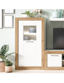 Vitrina una puerta DALIA II
