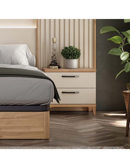 Mesita de noche dos cajones NILO
