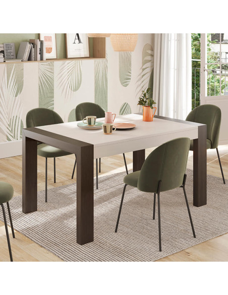 Mesa comedor rectangular extensible portería deslizante DANIELA