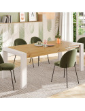 Mesa comedor rectangular extensible portería deslizante DANIELA