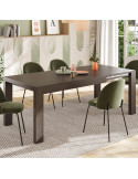 Mesa comedor rectangular extensible portería deslizante DANIELA