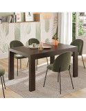 Mesa comedor rectangular extensible portería deslizante DANIELA
