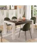 Mesa comedor rectangular extensible portería deslizante DANIELA