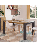 Mesa comedor rectangular extensible portería deslizante DANIELA