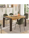 Mesa comedor rectangular extensible portería deslizante DANIELA