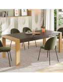 Mesa comedor rectangular extensible portería deslizante DANIELA