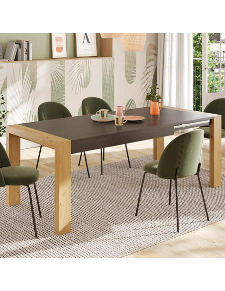 Mesa comedor rectangular extensible portería deslizante DANIELA