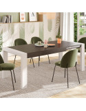 Mesa comedor rectangular extensible portería deslizante DANIELA