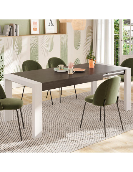Mesa comedor rectangular extensible portería deslizante DANIELA