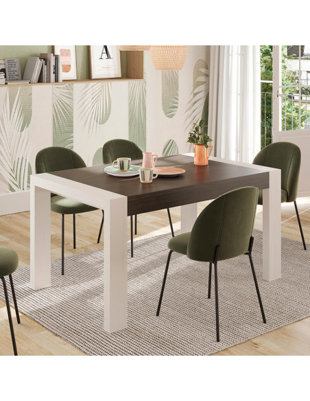 Mesa comedor rectangular extensible portería deslizante DANIELA