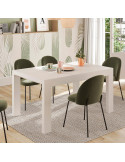 Mesa comedor rectangular extensible portería deslizante DANIELA