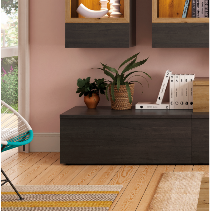Modulo tv 120 puerta DANIELA