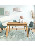 Mesa rectangular extensible DALIA II
