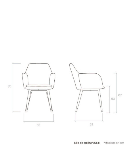 Silla de salón PECS II