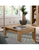 Mesa de centro elevable DALIA III