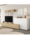 Composición de salón DANIELA XIII