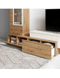 Modulo de tv una puerta abatible y cajón DANIELA