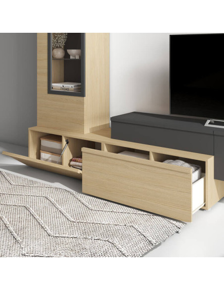 Modulo de tv una puerta abatible y cajón DANIELA