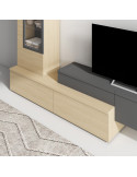 Modulo de TV con puerta DANIELA