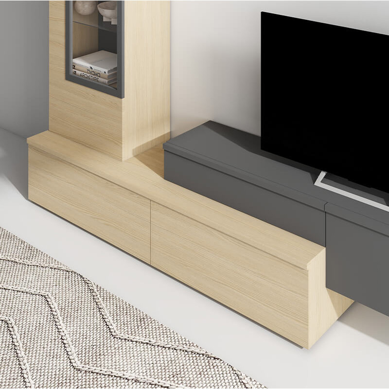 Modulo de TV con puerta DANIELA
