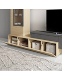 Modulo de TV con puerta DANIELA