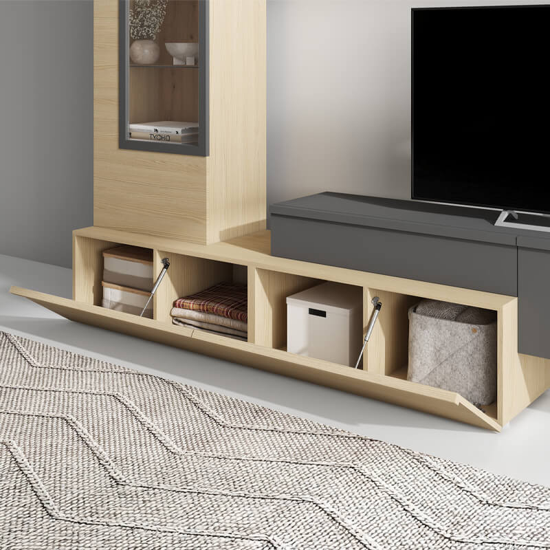 Modulo de TV con puerta DANIELA